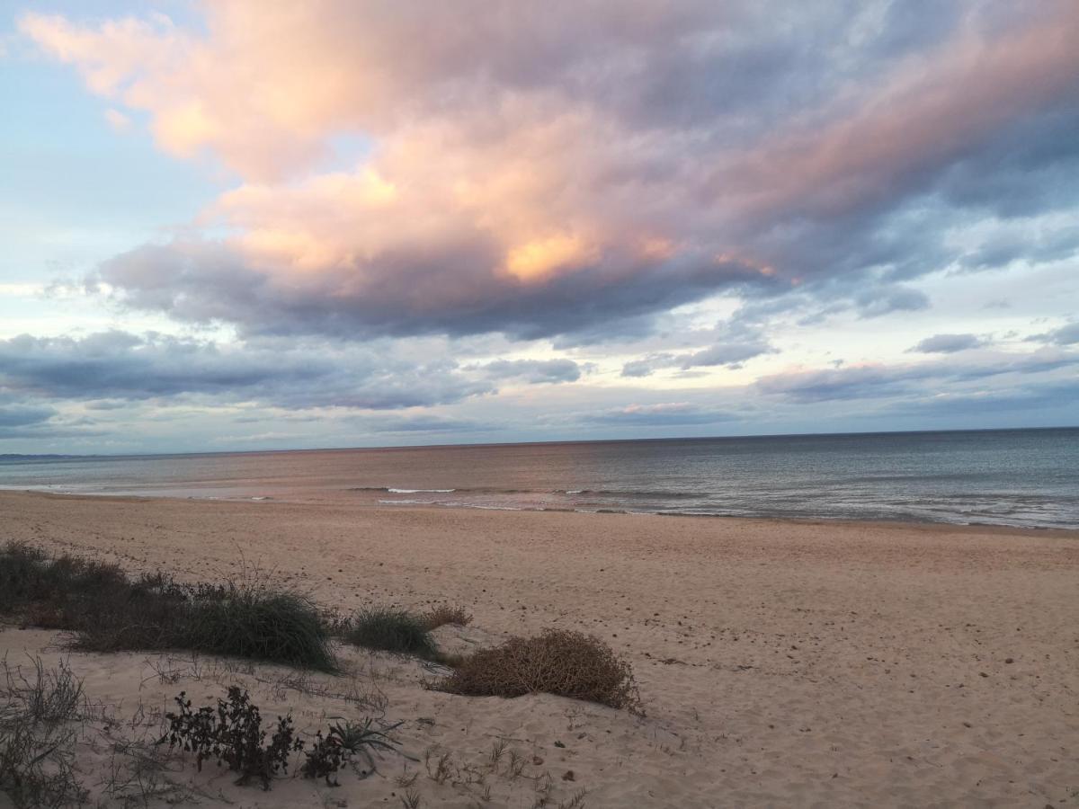 Apartamento Con Vistas Al Mar Oliva Exterior foto