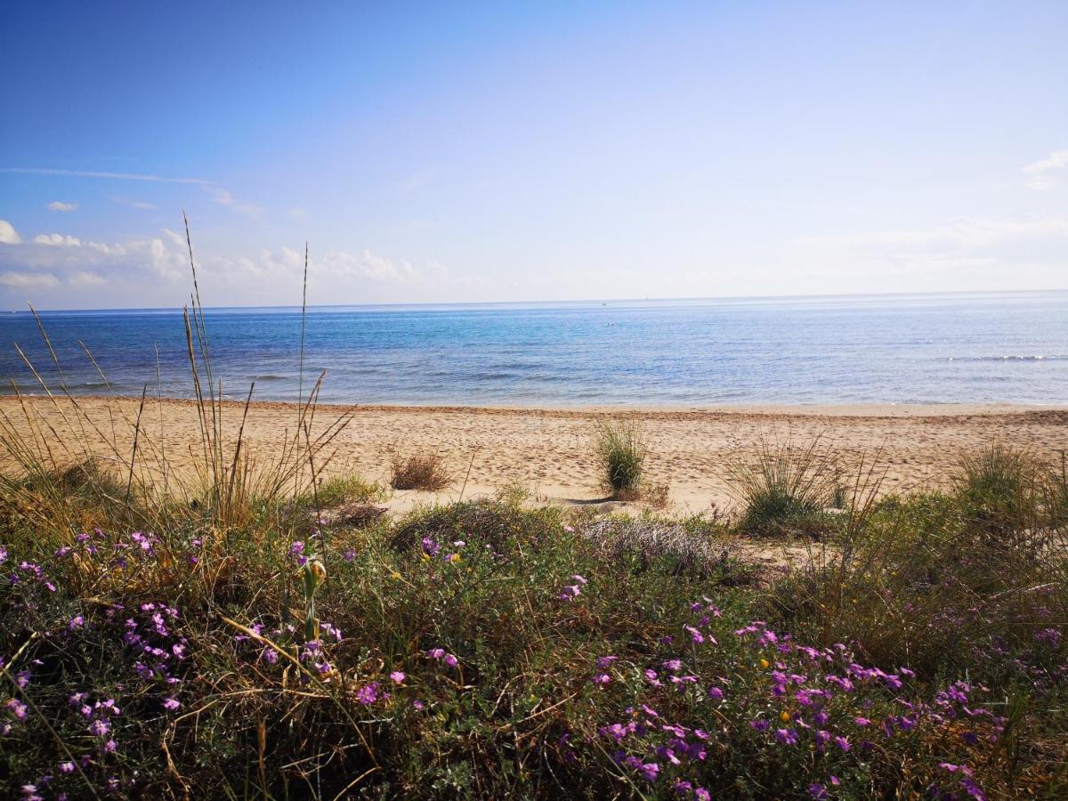 Apartamento Con Vistas Al Mar Oliva Exterior foto